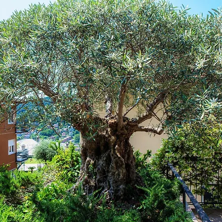 Casa Olivo By Quokka 360 - Flat With Sun Terrace In Διαμέρισμα *