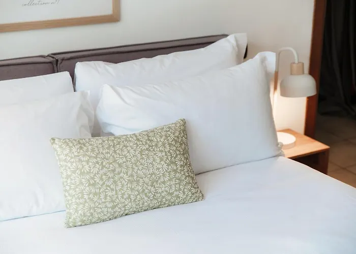 Casa Olivo By Quokka 360 - Flat With Sun Terrace In Daire Cernobbio